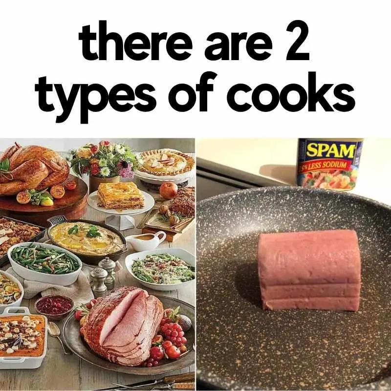 Funny Food Memes about  types of cooks