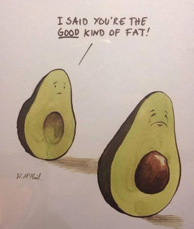 Funny Food Memes about fat