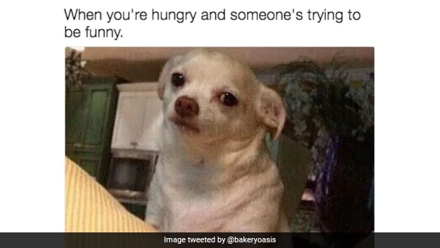 Funny Food Memes about someone trying to be funny