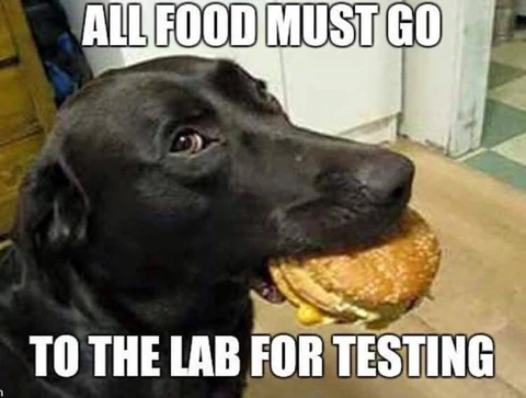Funny Food Memes about all food must go to lab