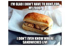 Funny Food Memes about sandwich