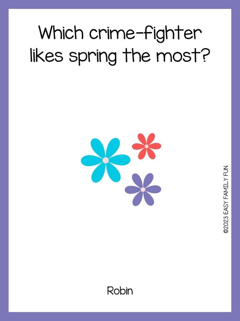 in post image with white background, purple pastel border, text of a joke about spring, and an image of cute flowers
