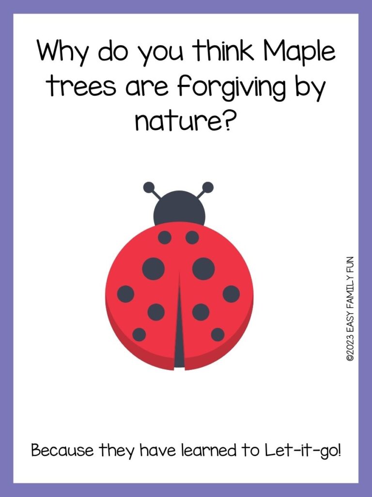 in post image with white background, purple pastel border, text of a joke about spring, and an image of a ladybug
