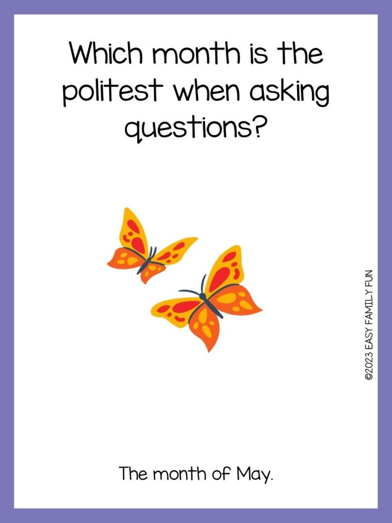 in post image with white background, purple pastel border, text of a joke about spring, and an image of a 2 flying butterflies
