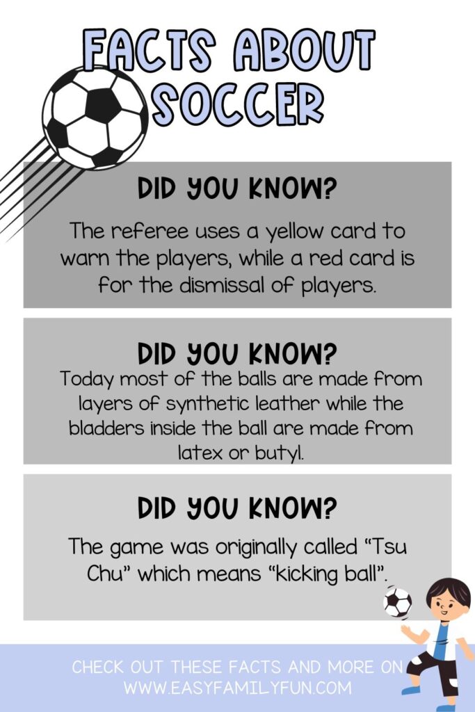 pinterest pin image of Facts About Soccer