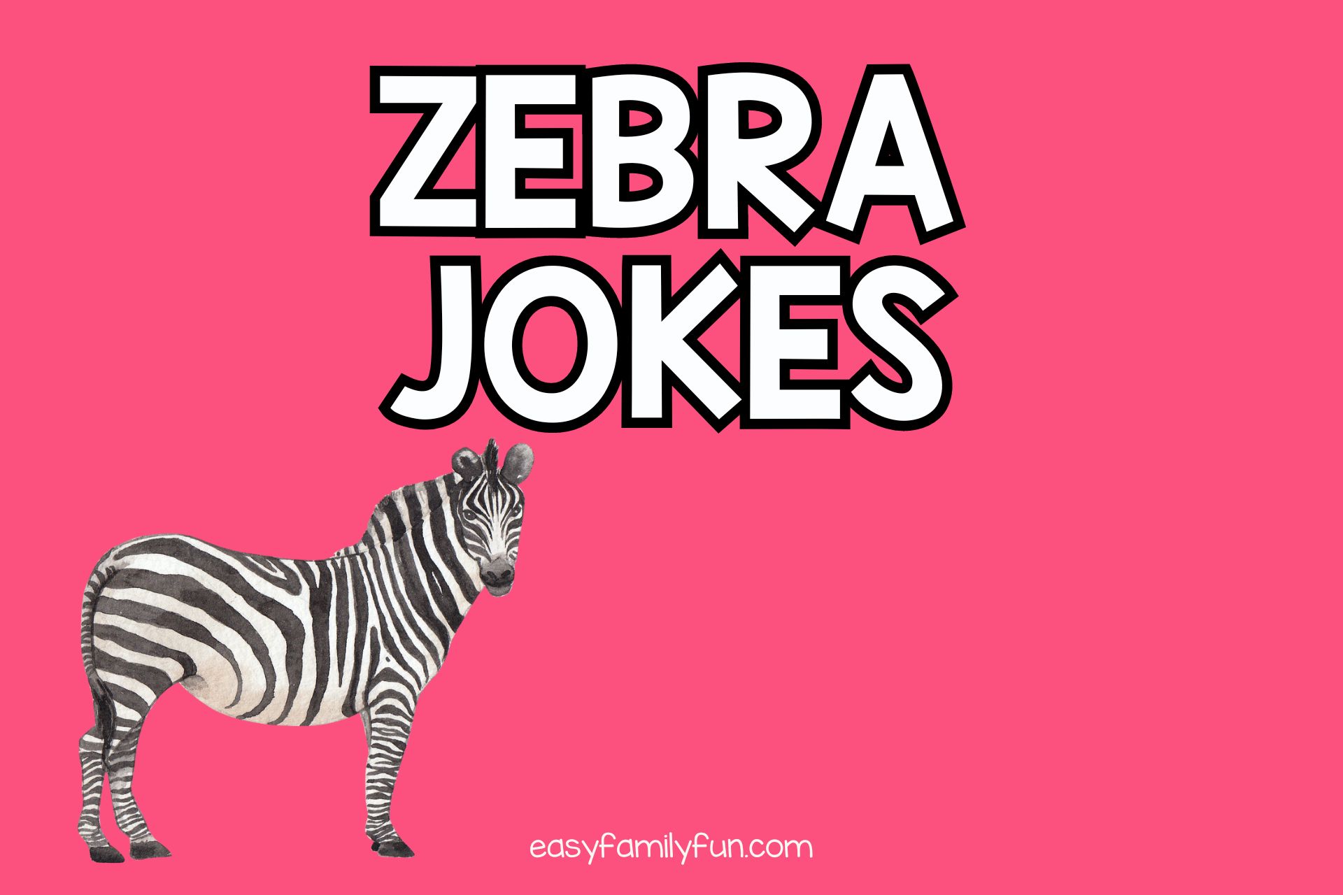 featured image with pink background and white text that says “zebra jokes”