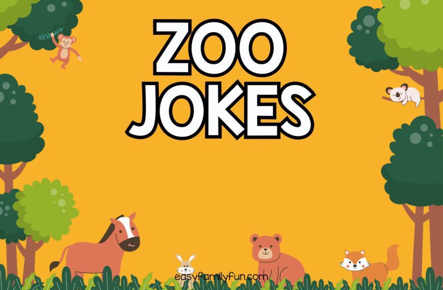featured image with orange background and white text that says “zoo jokes”