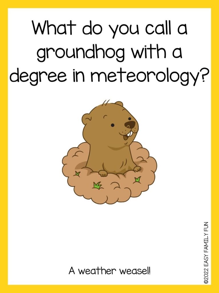 in post image with white background, yellow border, text of groundhog jokes and an image of a cute groundhog in a burrow
