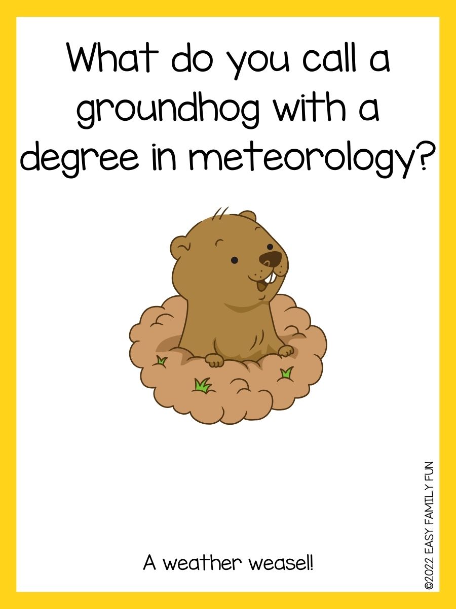 39 Best Groundhog Jokes That Make You Giggle