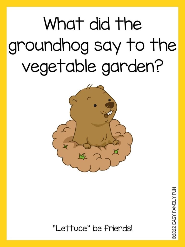 in post image with white background, yellow border, text of groundhog jokes and an image of a cute groundhog in a burrow