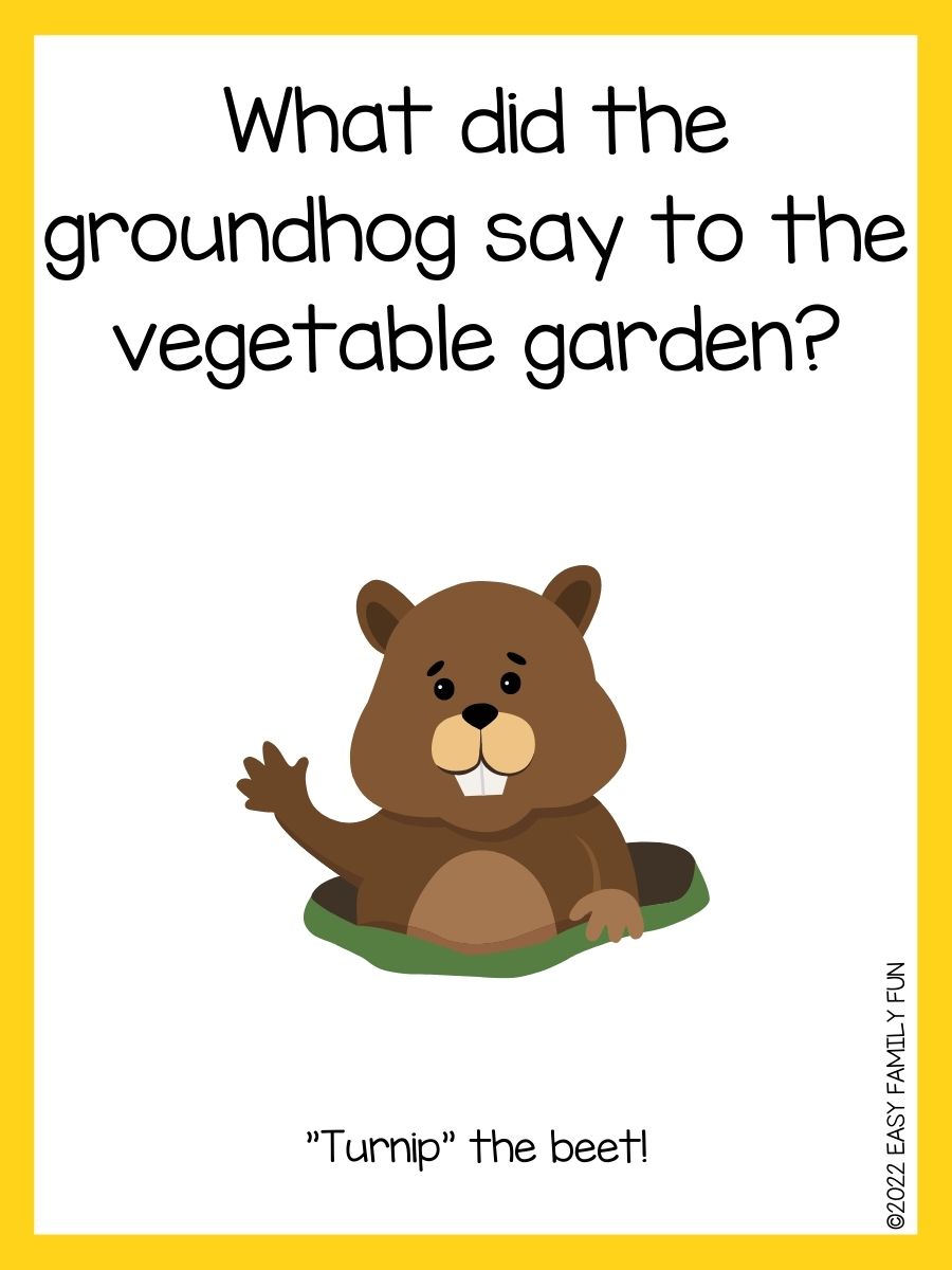 39 Best Groundhog Jokes That Make You Giggle