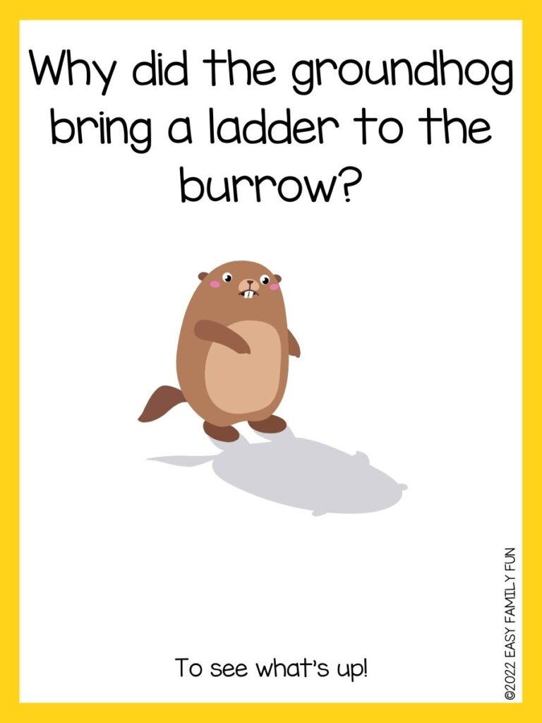 in post image with white background, yellow border, text of groundhog jokes and an image of a walking groundhog
