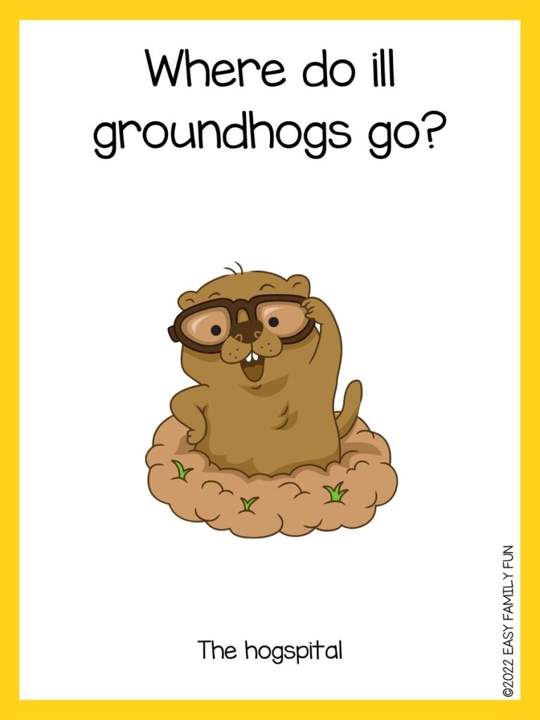 in post image with white background, yellow border, text of groundhog jokes and an image of a  groundhog wearing a glasses inside a burrow
