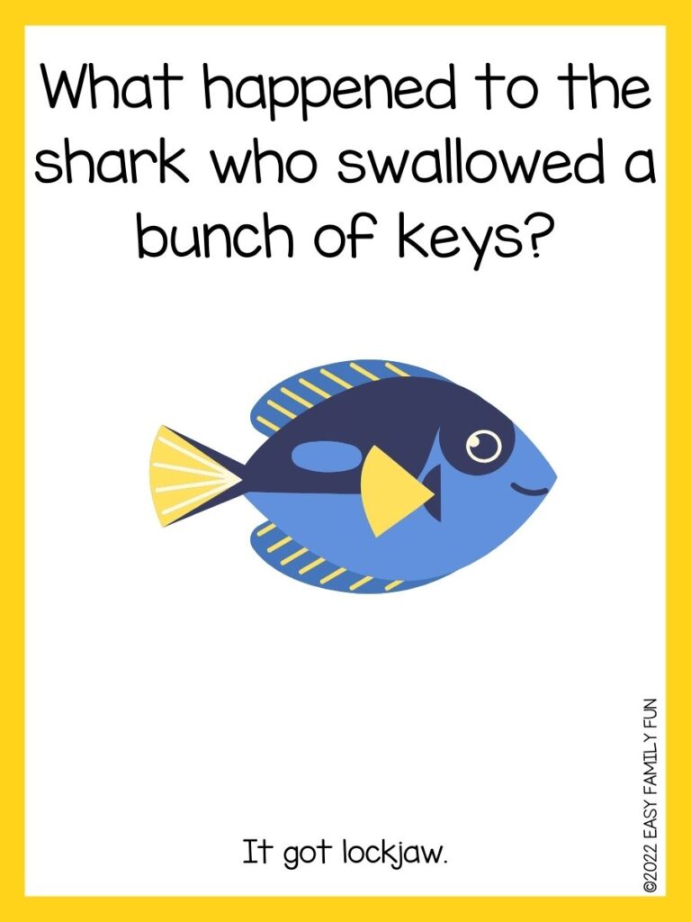 in post image with white background, yellow border, text of sea jokes and an image of a blue tang fish