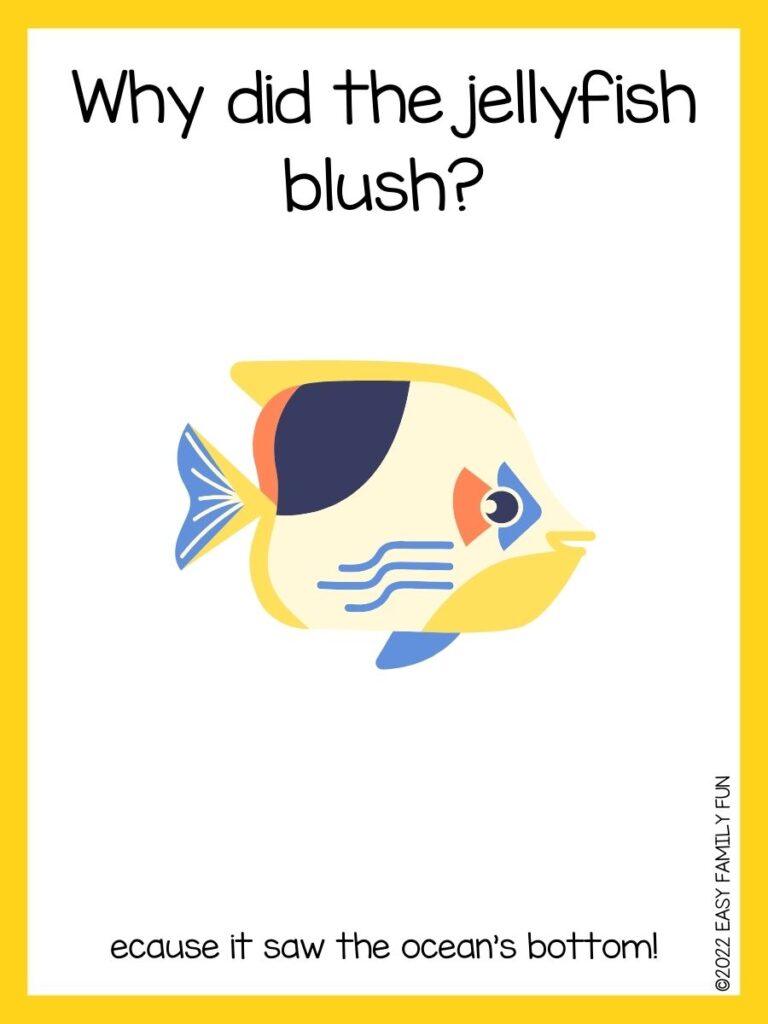 in post image with white background, yellow border, text of sea jokes and an image of a saddled butterflyfish
