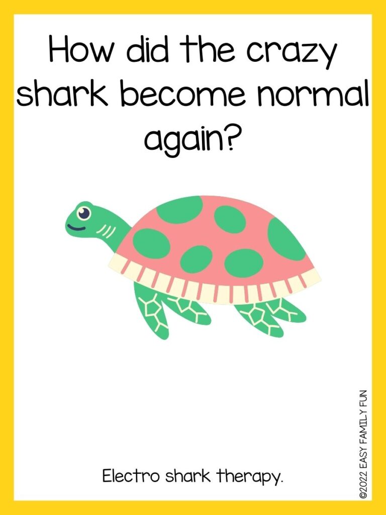 in post image with white background, yellow border, text of sea jokes and an image of a green turtle

