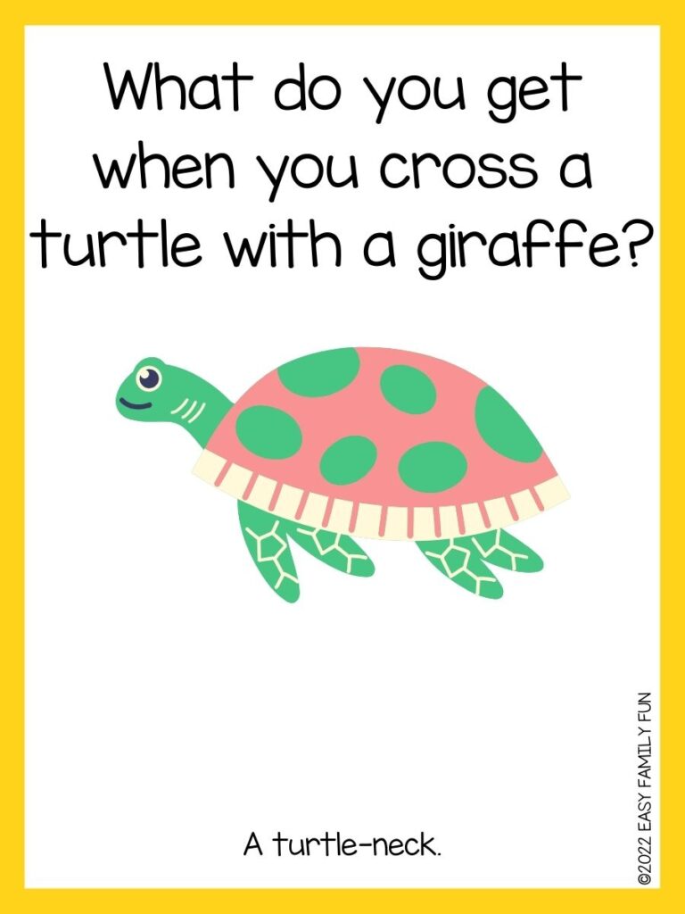 in post image with white background, yellow border, text of sea jokes and an image of a green turtle
