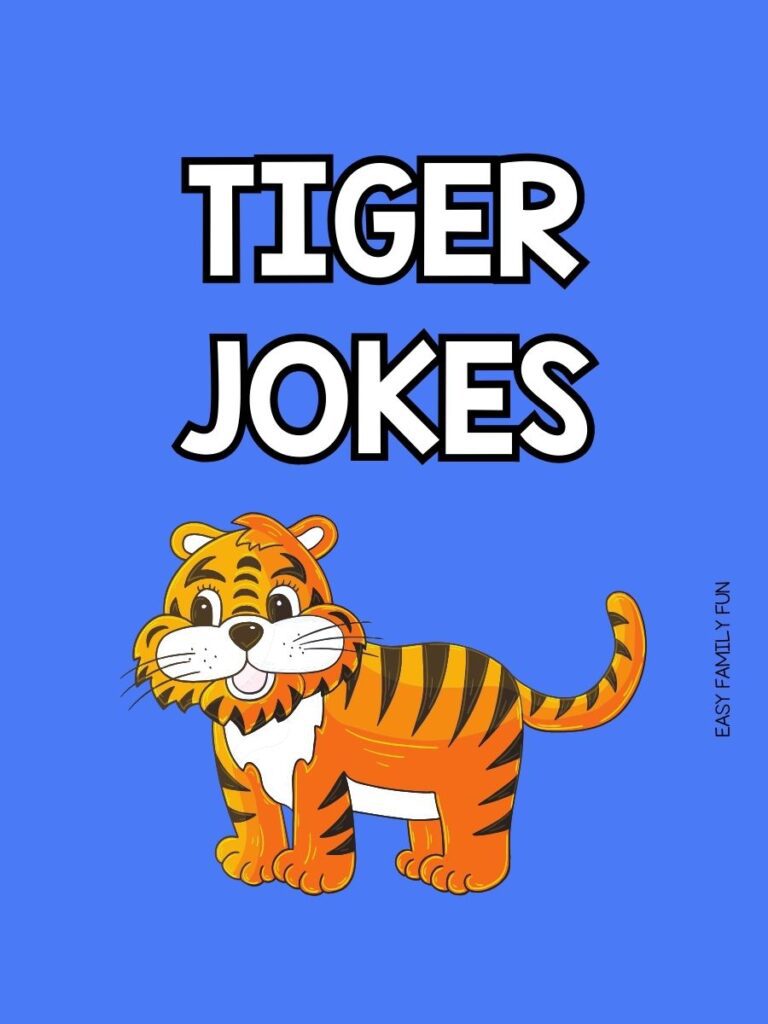 pinterest pin image with navy blue background and white text that says “tiger jokes”
