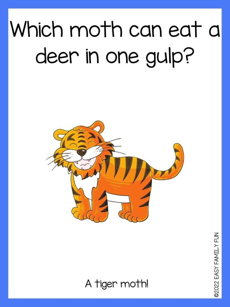 in post image with white background, blue border, text of sea jokes and an image of a tiger
