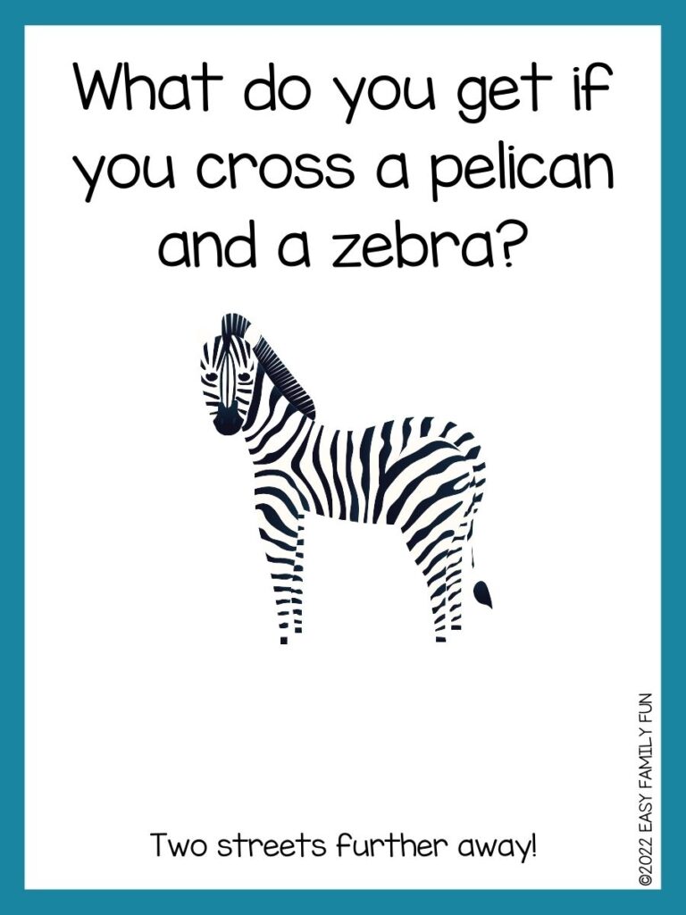 in post image with white background, teal border, text of zebra jokes and an image of a zebra facing in front
