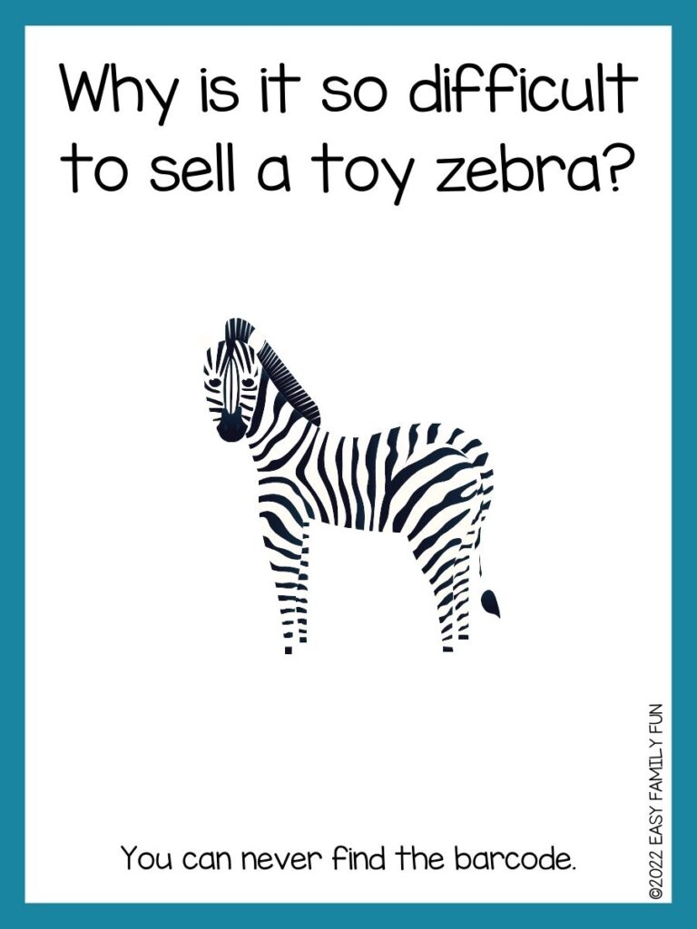 in post image with white background, teal border, text of zebra jokes and an image of a zebra facing in front
