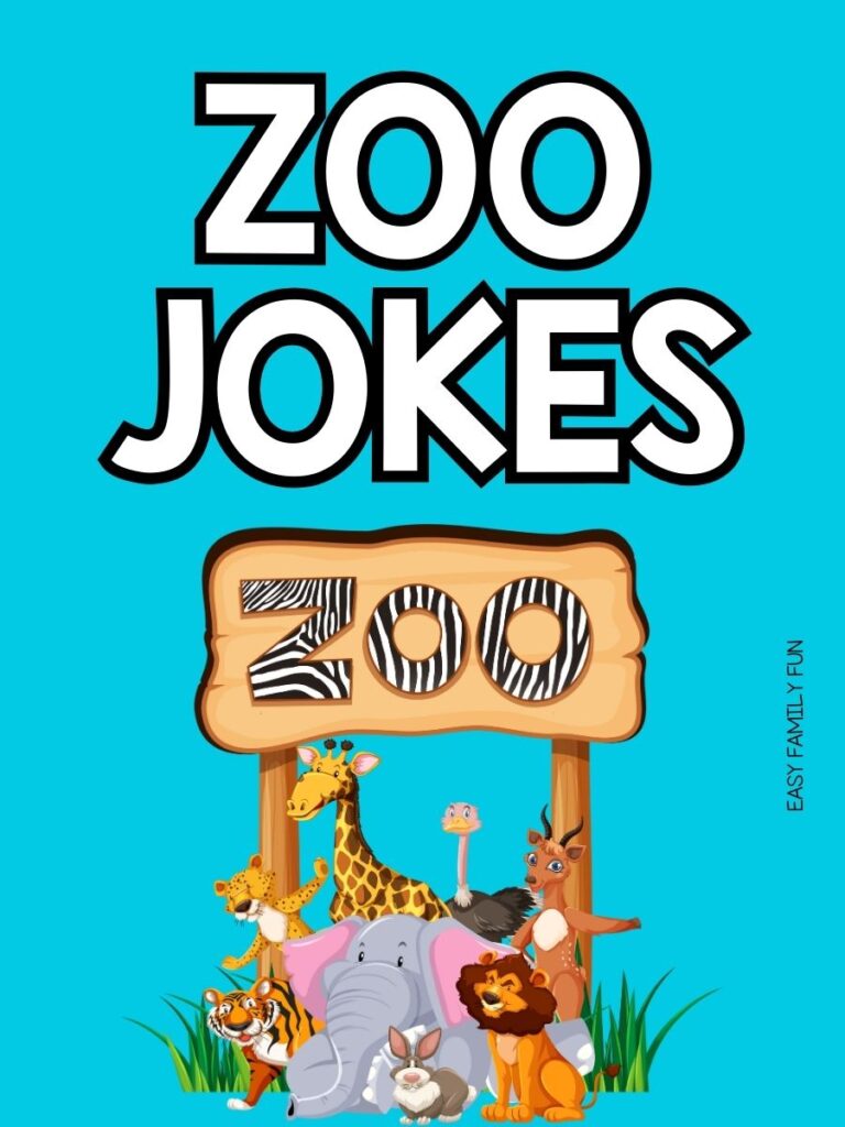 pinterest image with light blue background and white text that says “zoo jokes”
