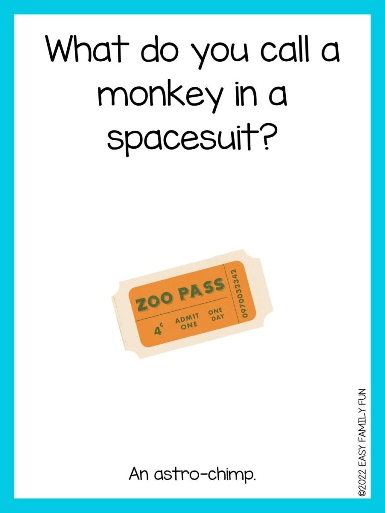 in post image with white background, light blue border, text of zoo jokes and an image of a zoo ticket
