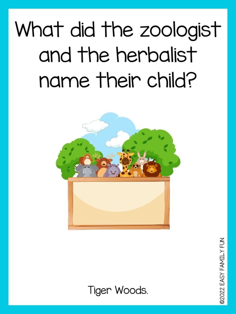 in post image with white background, light blue border, text of zoo jokes and an image of wooden board with cute animals in background
