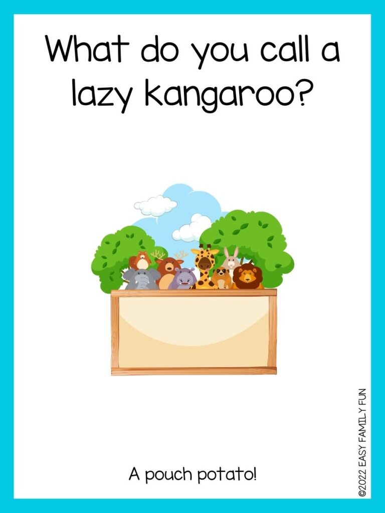 in post image with white background, light blue border, text of zoo jokes and an image of wooden board wit cute animals in background
