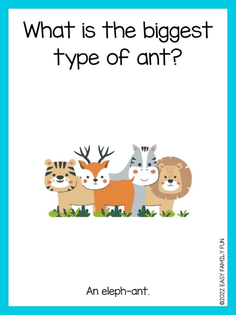 in post image with white background, light blue border, text of zoo jokes and an image of a safari animals