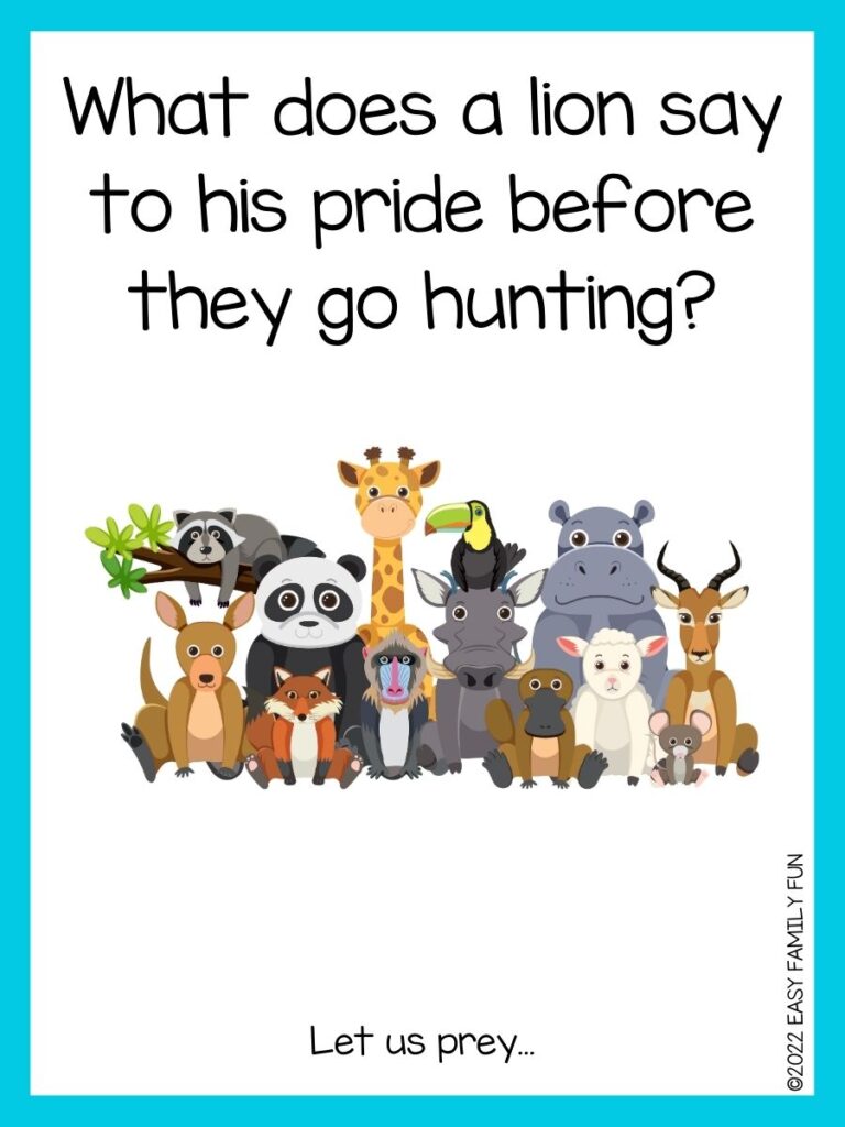 in post image with white background, light blue border, text of zoo jokes and an image of a group of zoo animals 
