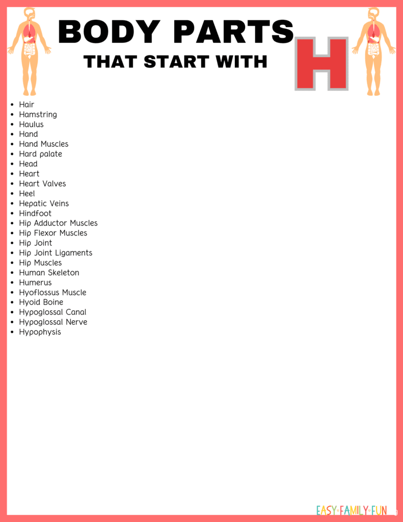 list of body parts that start with H on a image with red border 