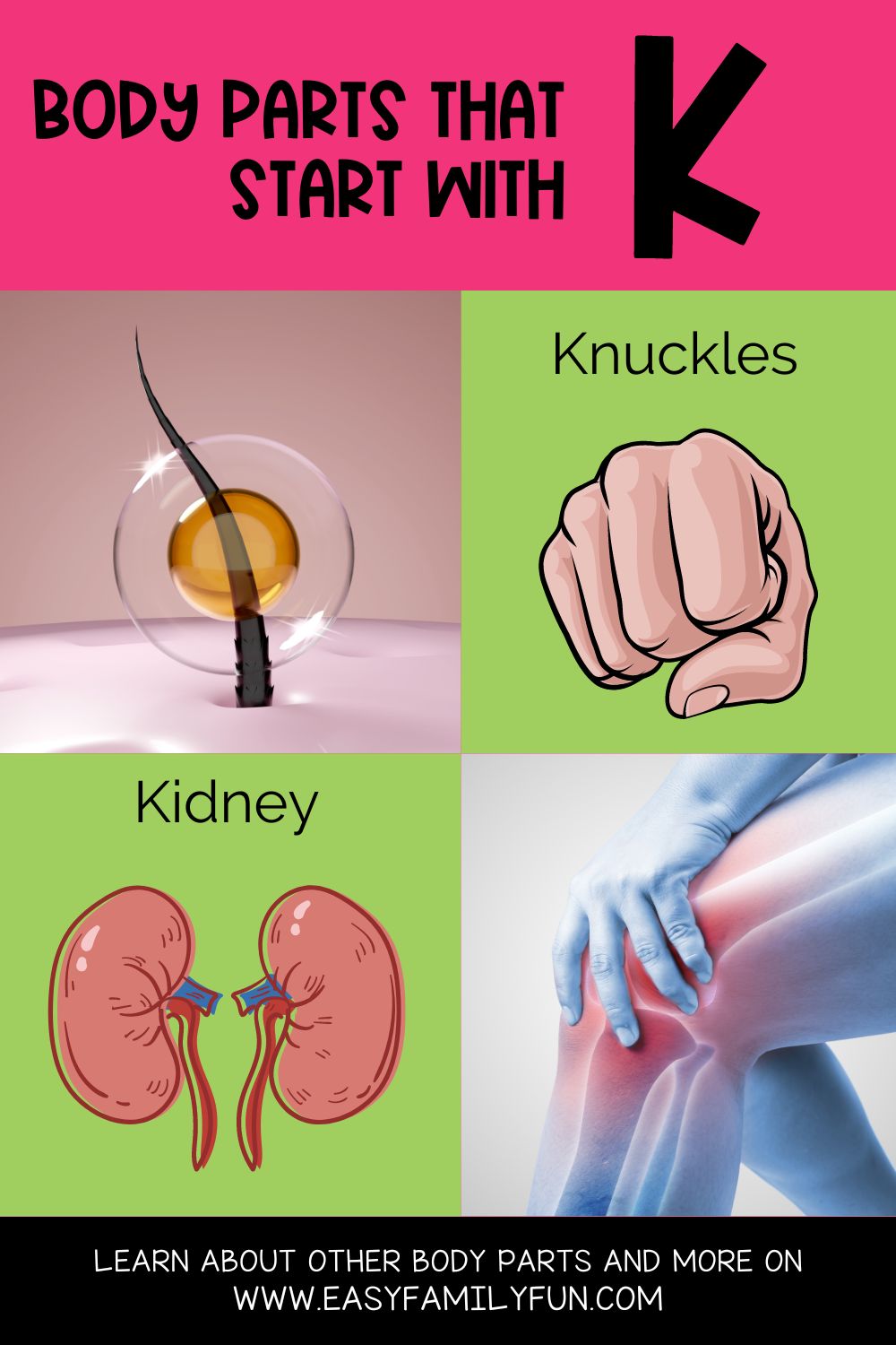 Body Parts that Start with K - Easy Family Fun- Games, Trivia, and Jokes
