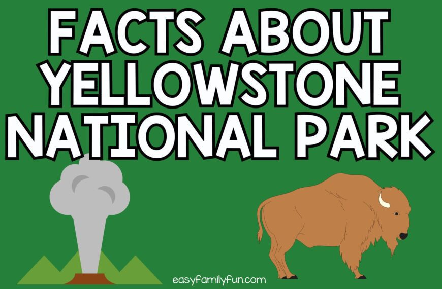 Facts About Yellowstone National Park