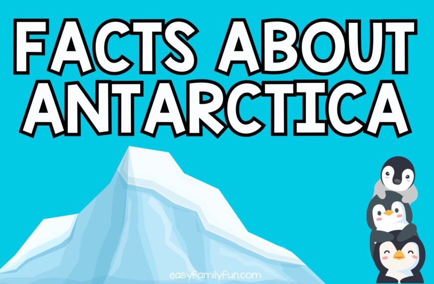 Facts About Antarctica For Kids